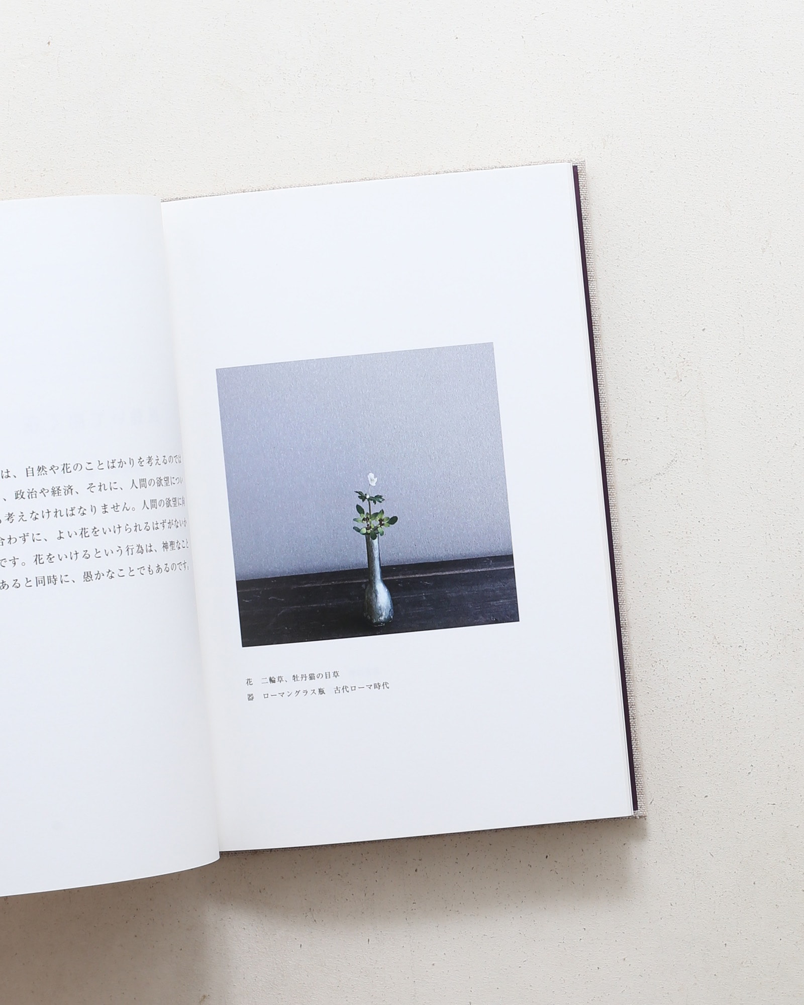 風動いて開く花 | 山本郁也