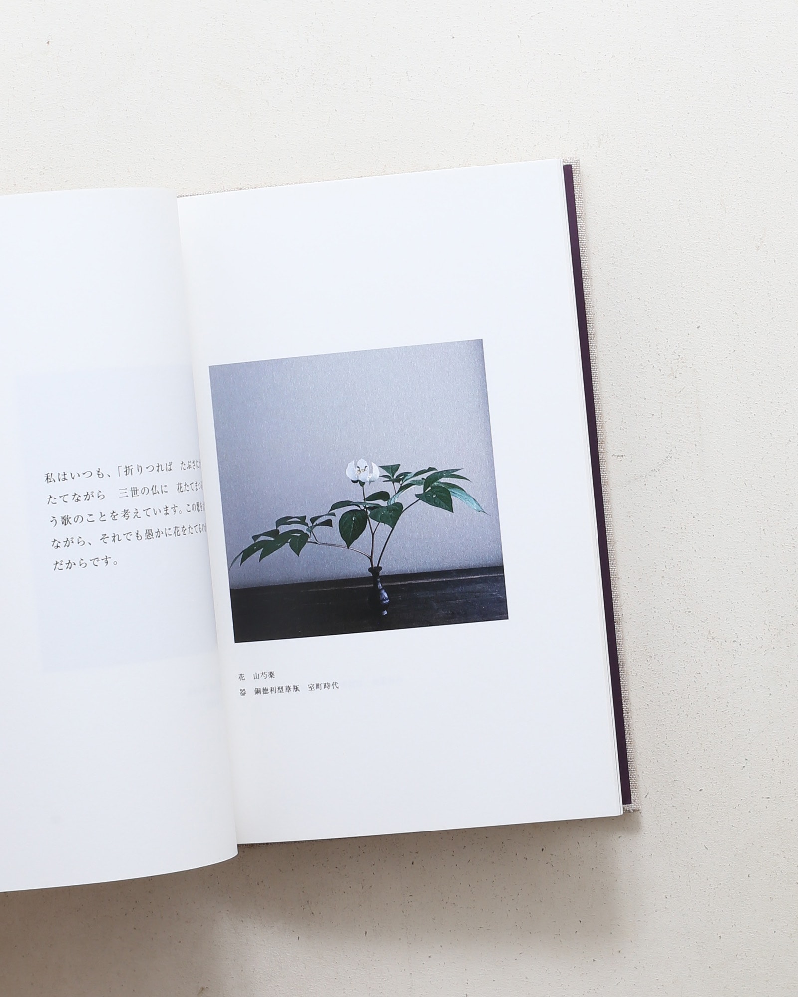 風動いて開く花 | 山本郁也