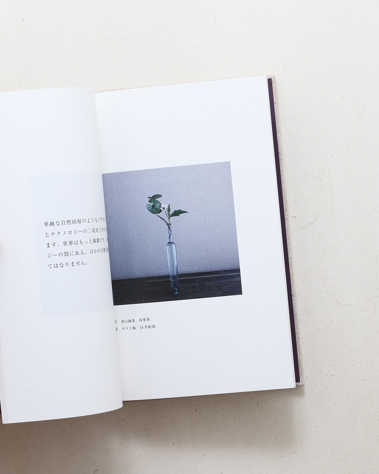 風動いて開く花 | 山本郁也