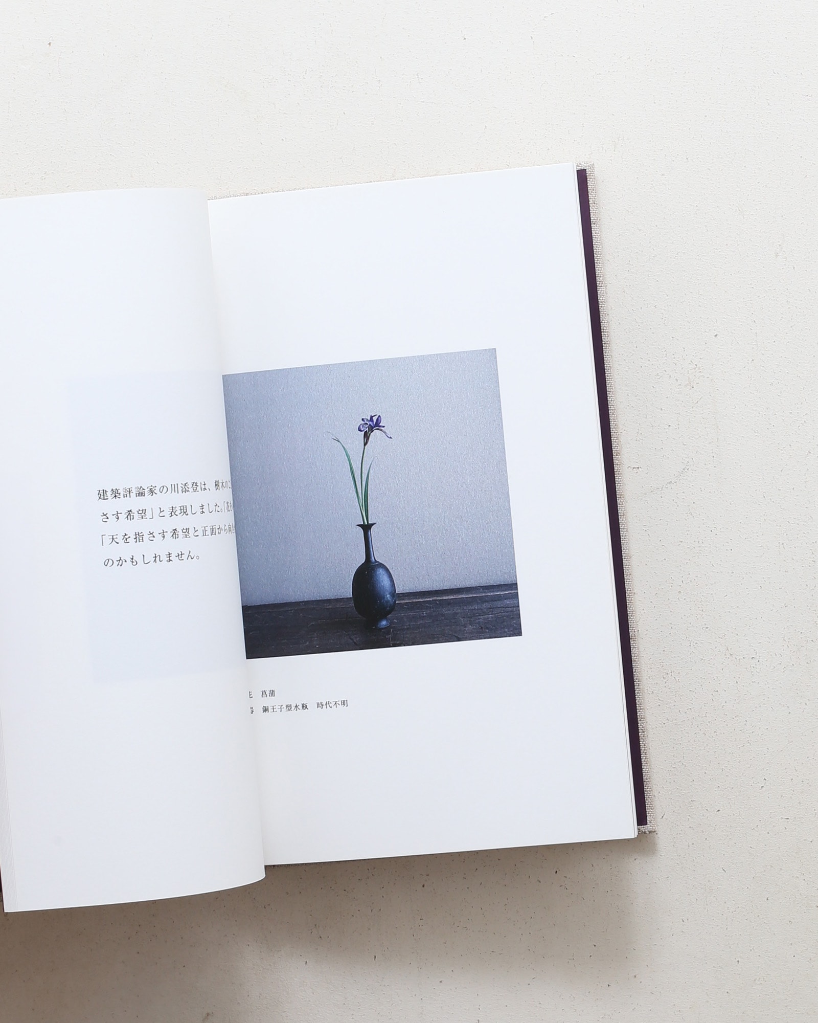 風動いて開く花 | 山本郁也