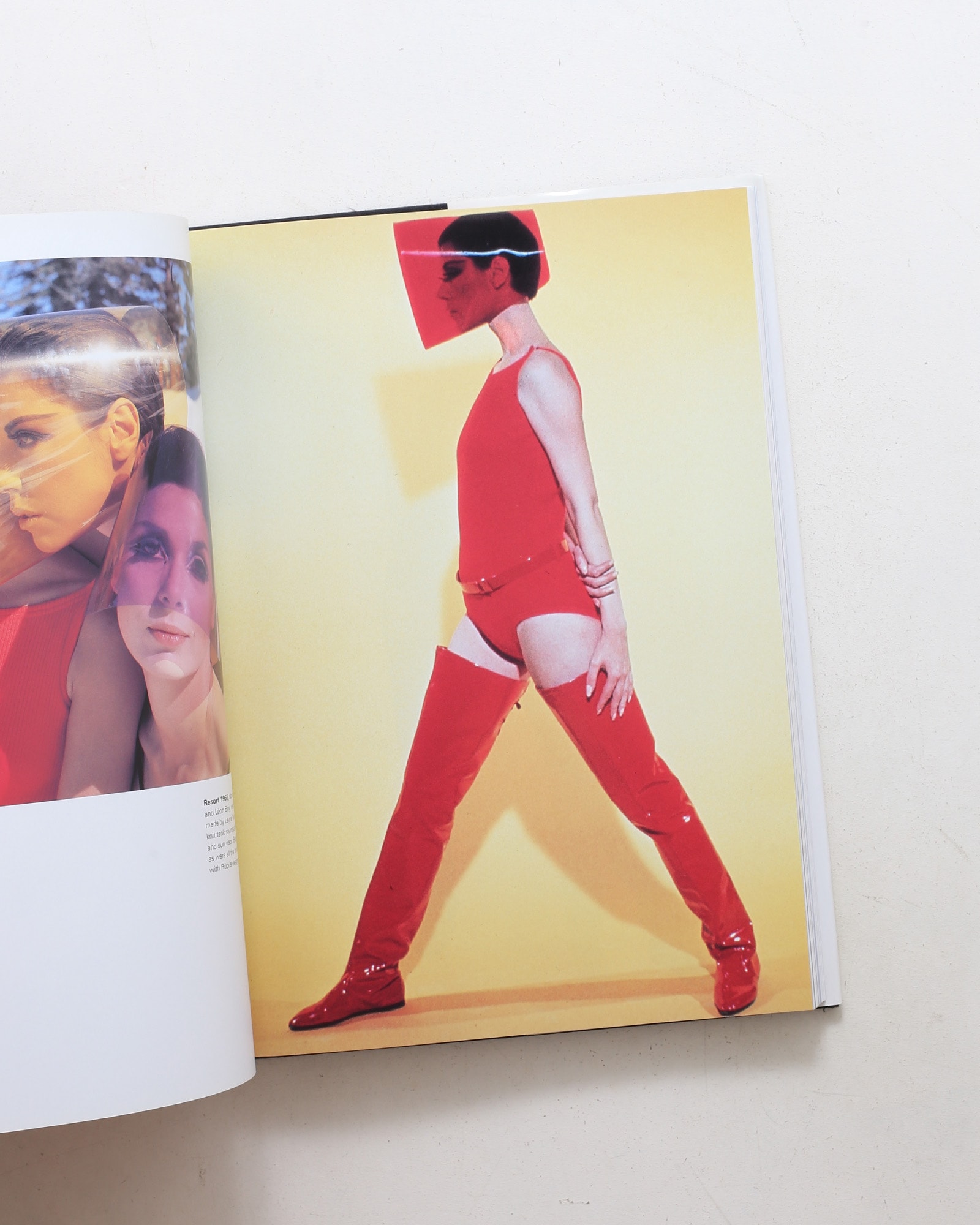 The Rudi Gernreich Book（Rizzoli版）