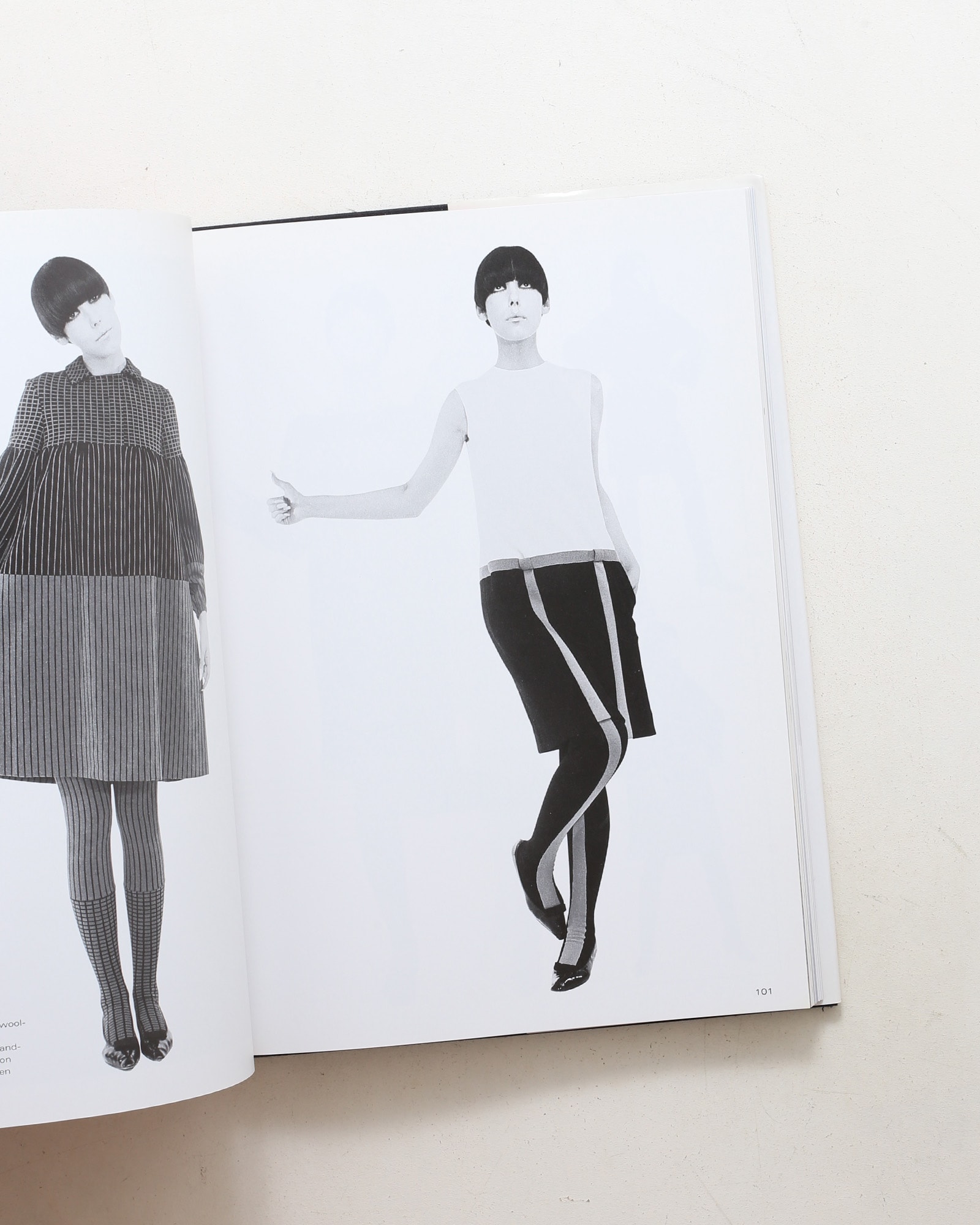 The Rudi Gernreich Book（Rizzoli版）