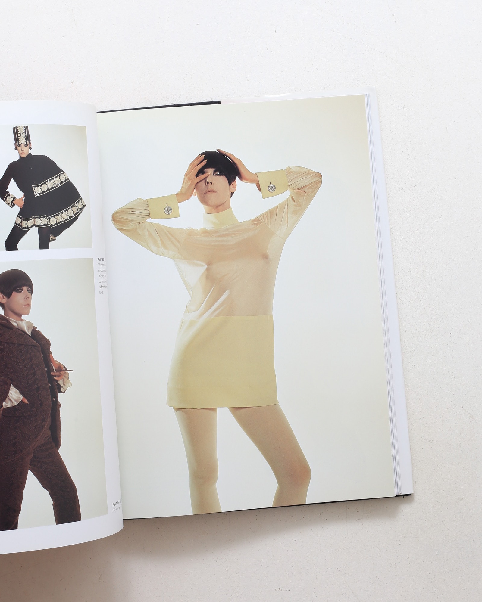 The Rudi Gernreich Book（Rizzoli版）