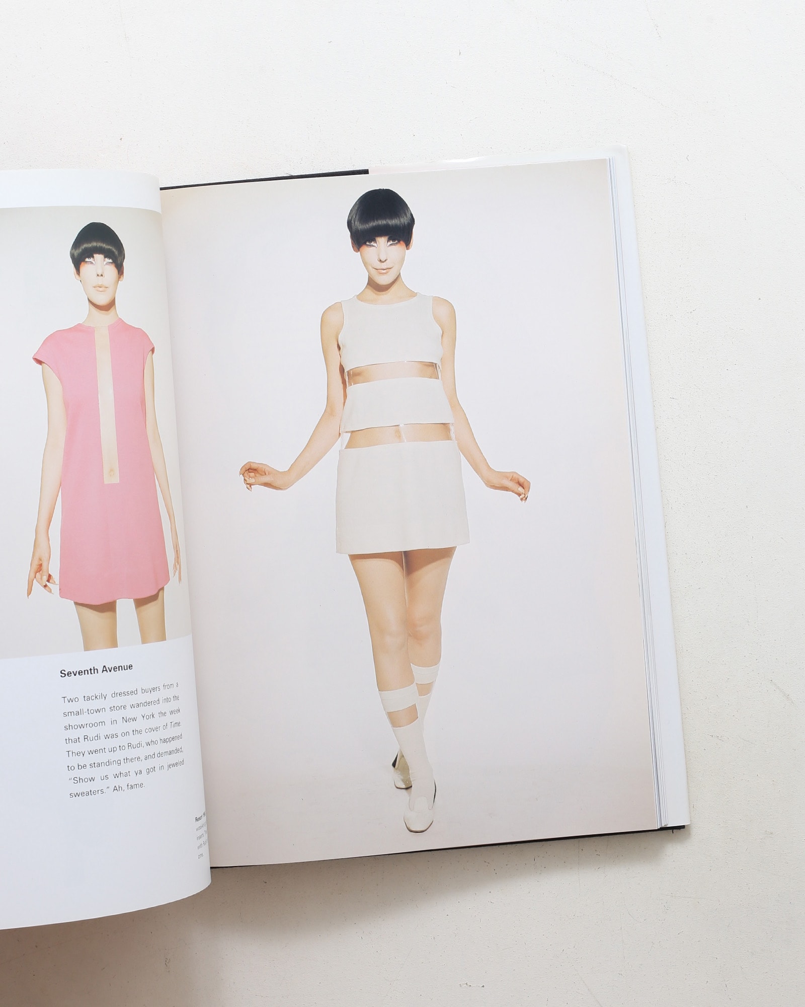 The Rudi Gernreich Book（Rizzoli版）