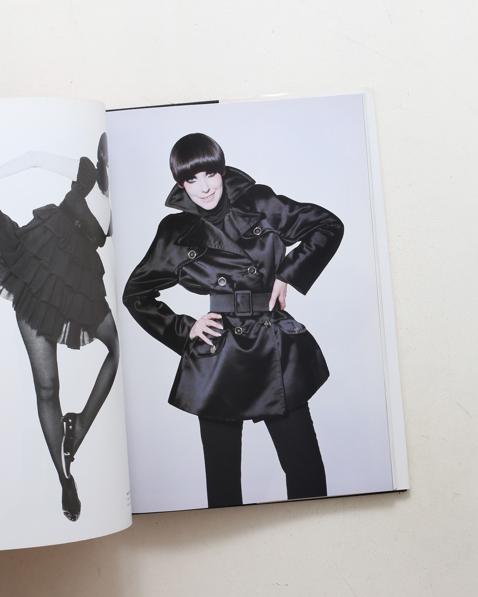 The Rudi Gernreich Book（Rizzoli版）