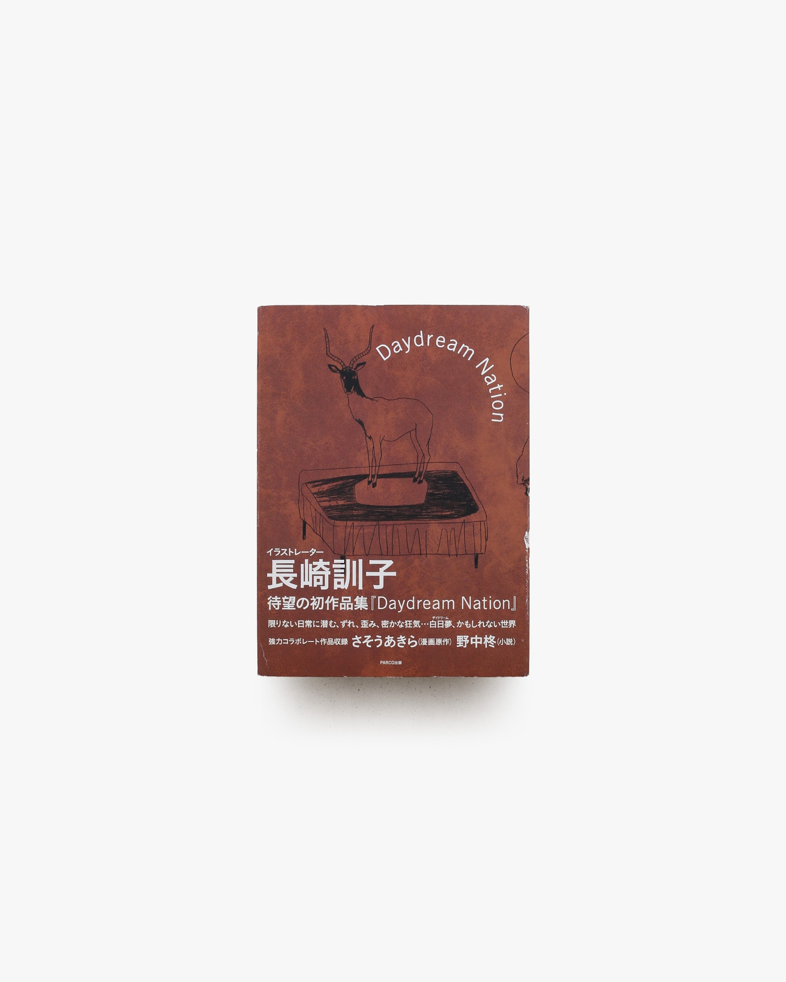 Daydream Nation | 長崎訓子