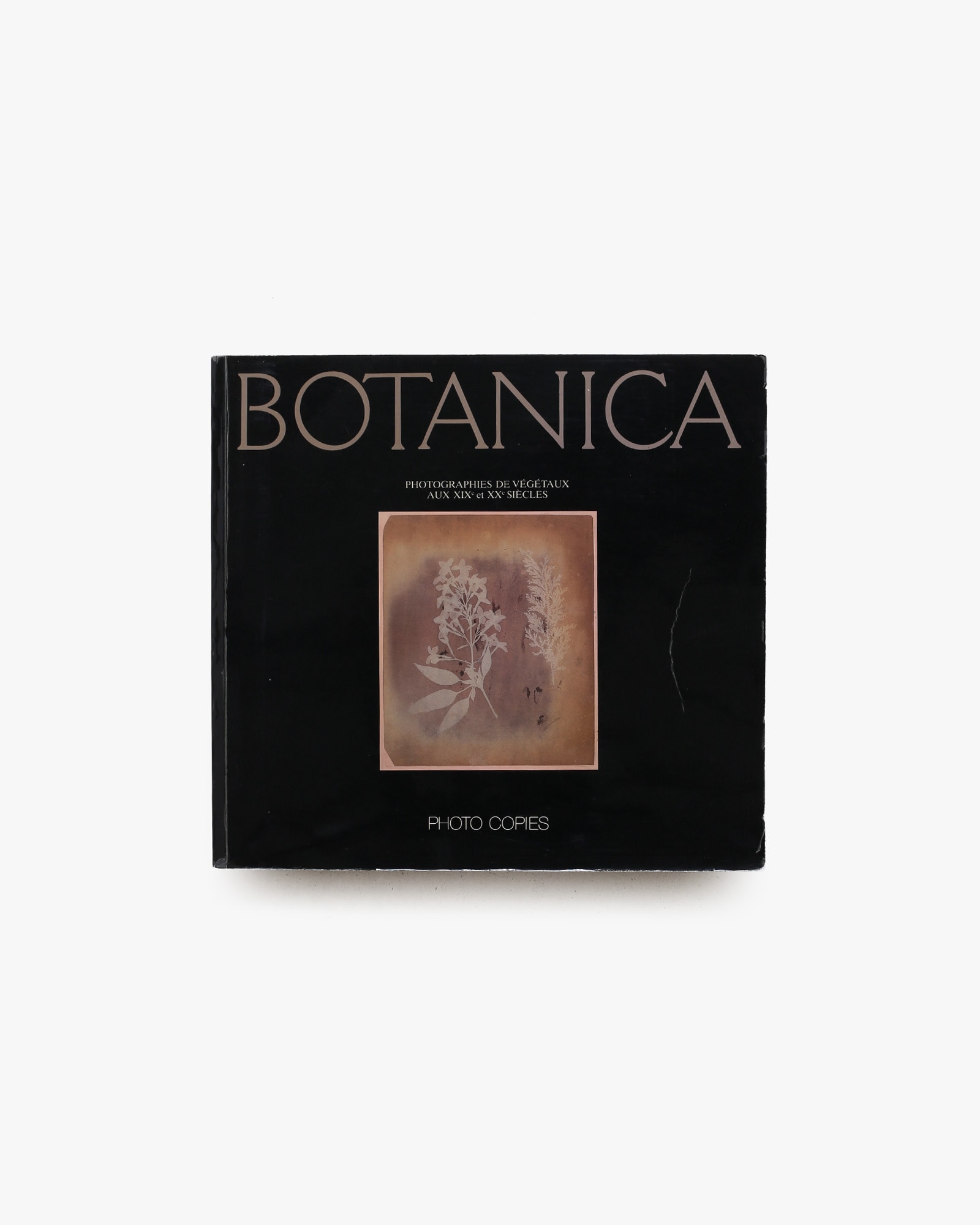 Botanica