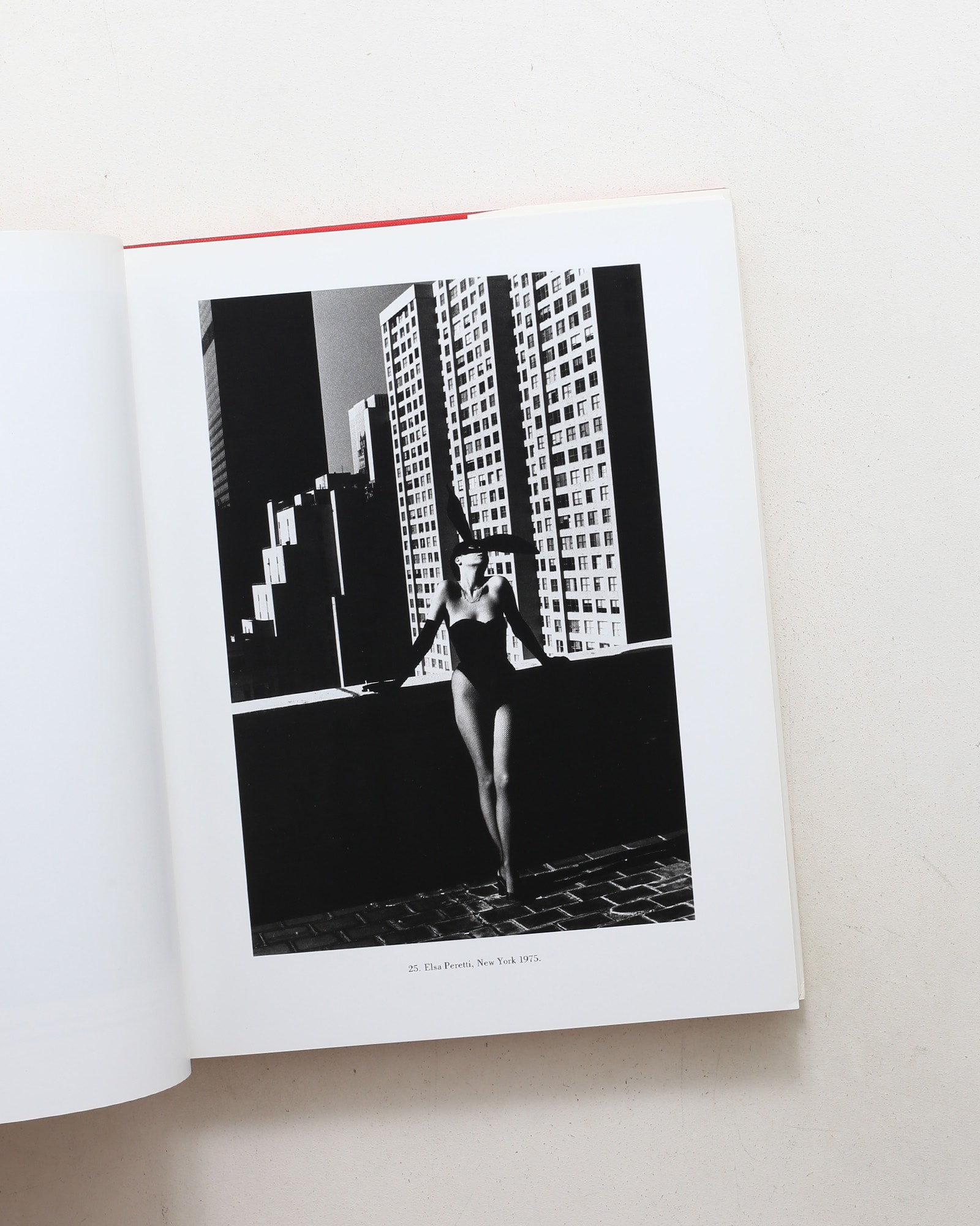 Helmut Newton: Portraits