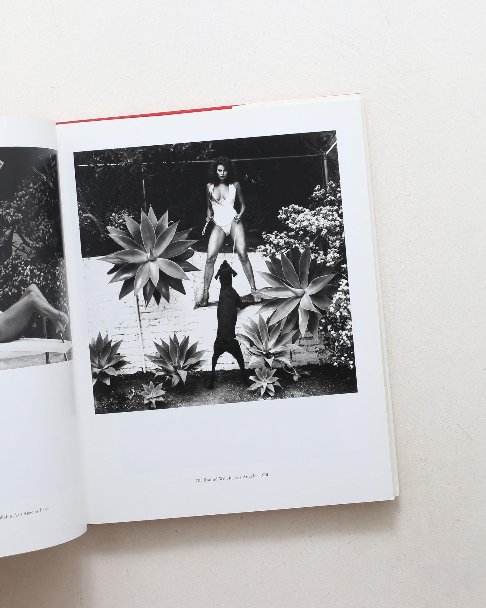 Helmut Newton: Portraits