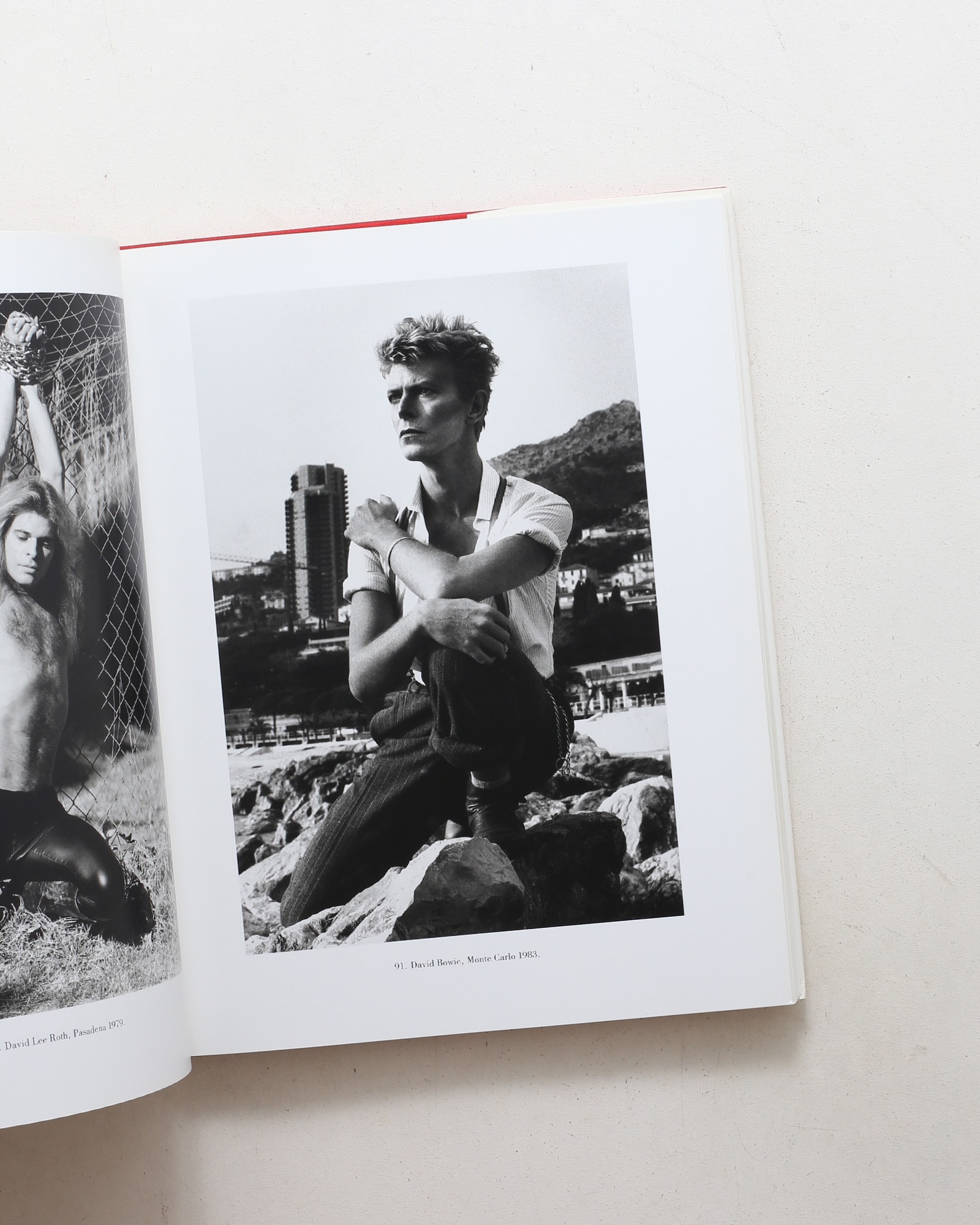 Helmut Newton: Portraits