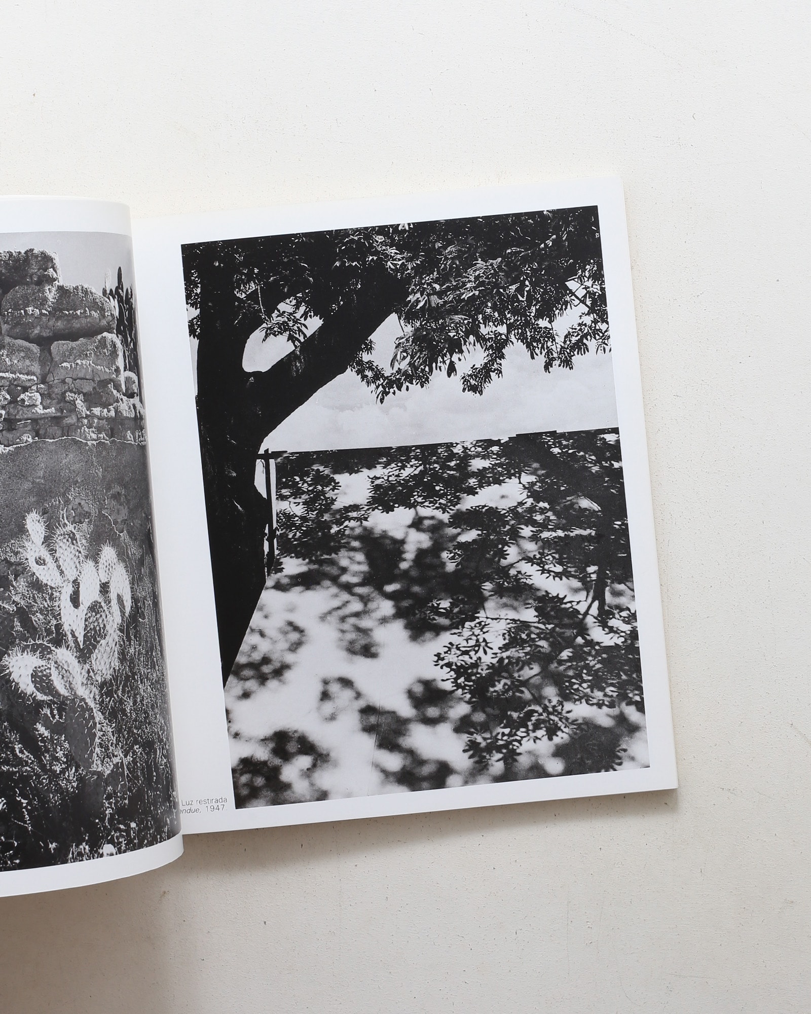 Manuel Alvarez Bravo: 303 photographies, 1920-1986