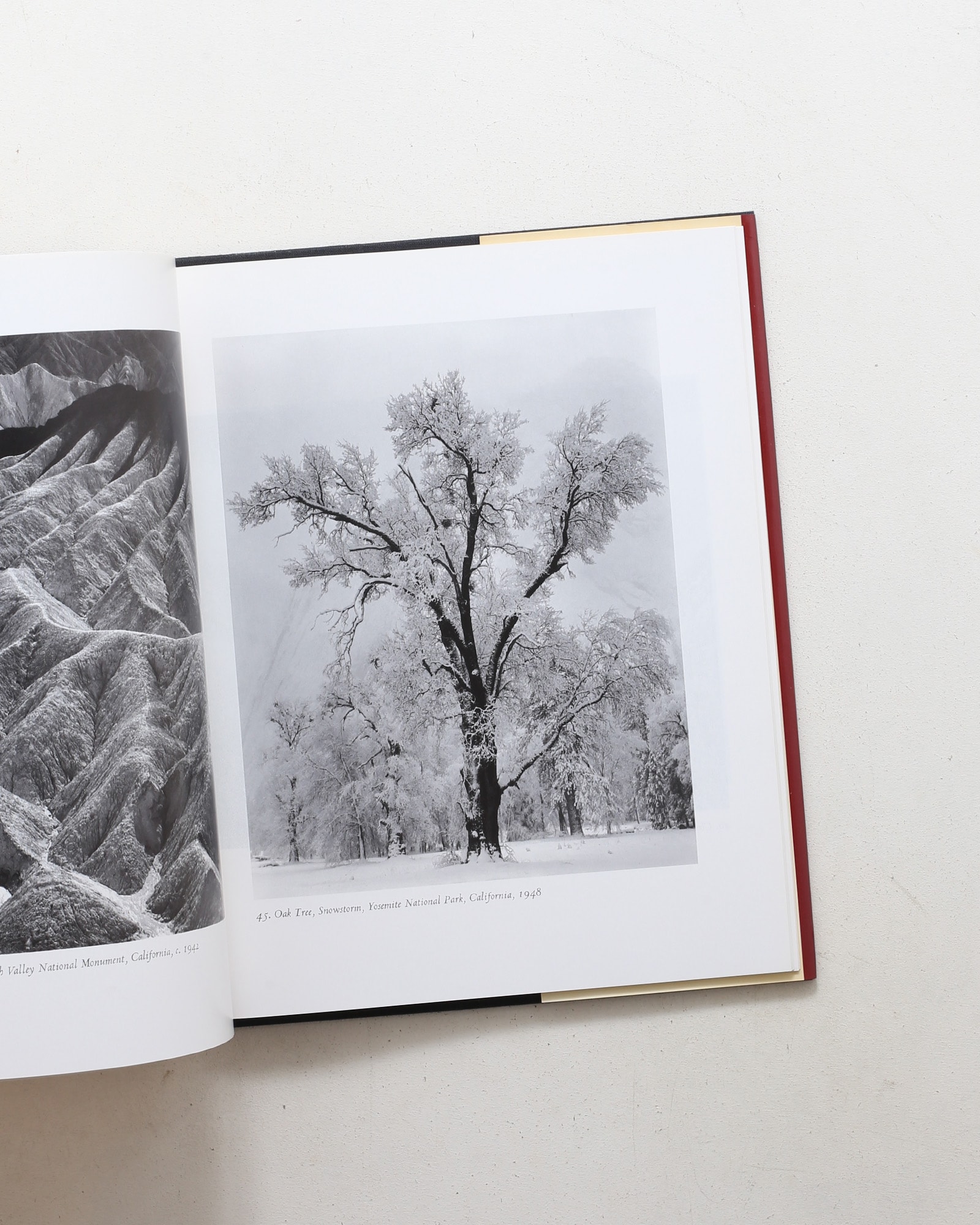 Ansel Adams: Classic Images