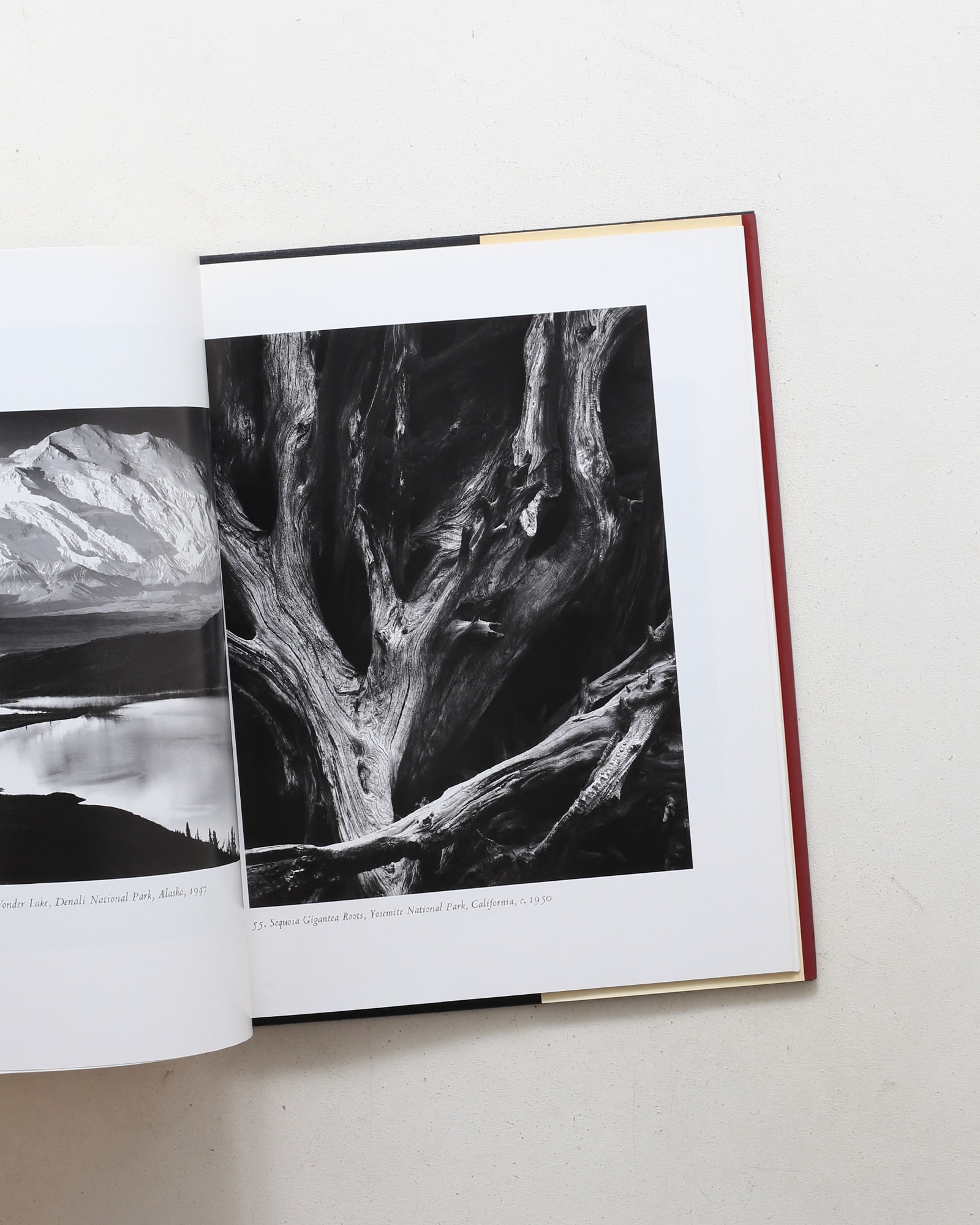 Ansel Adams: Classic Images