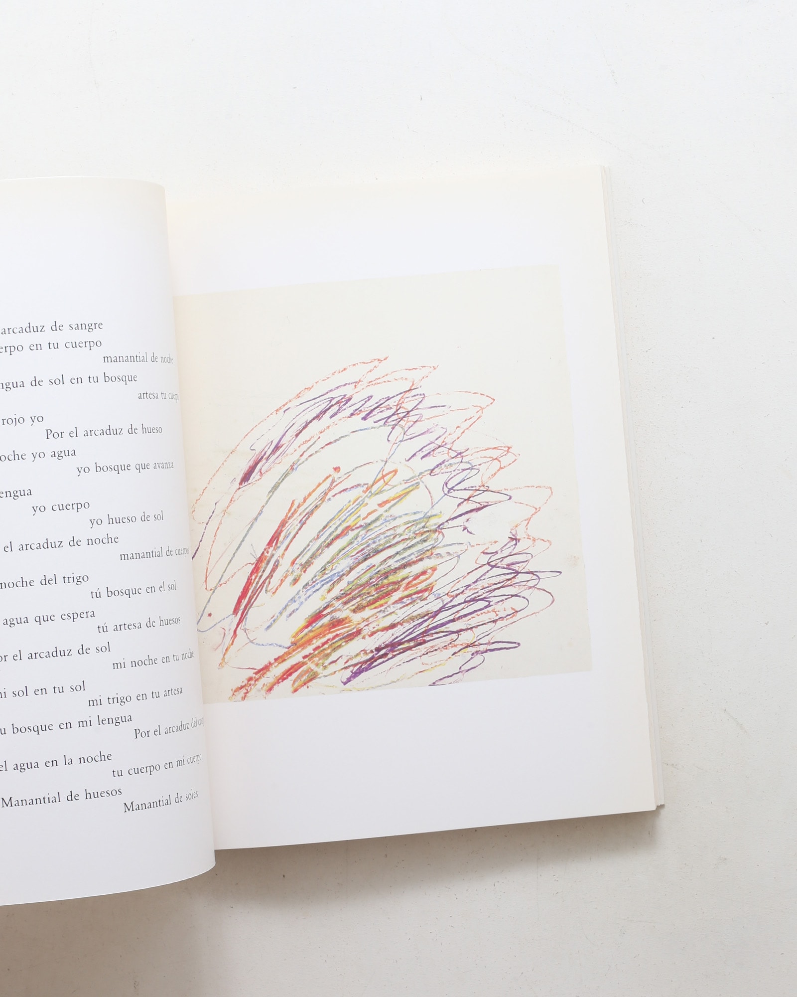 Octavio Paz: Eight Poems / Cy Twombly: Ten Drawings