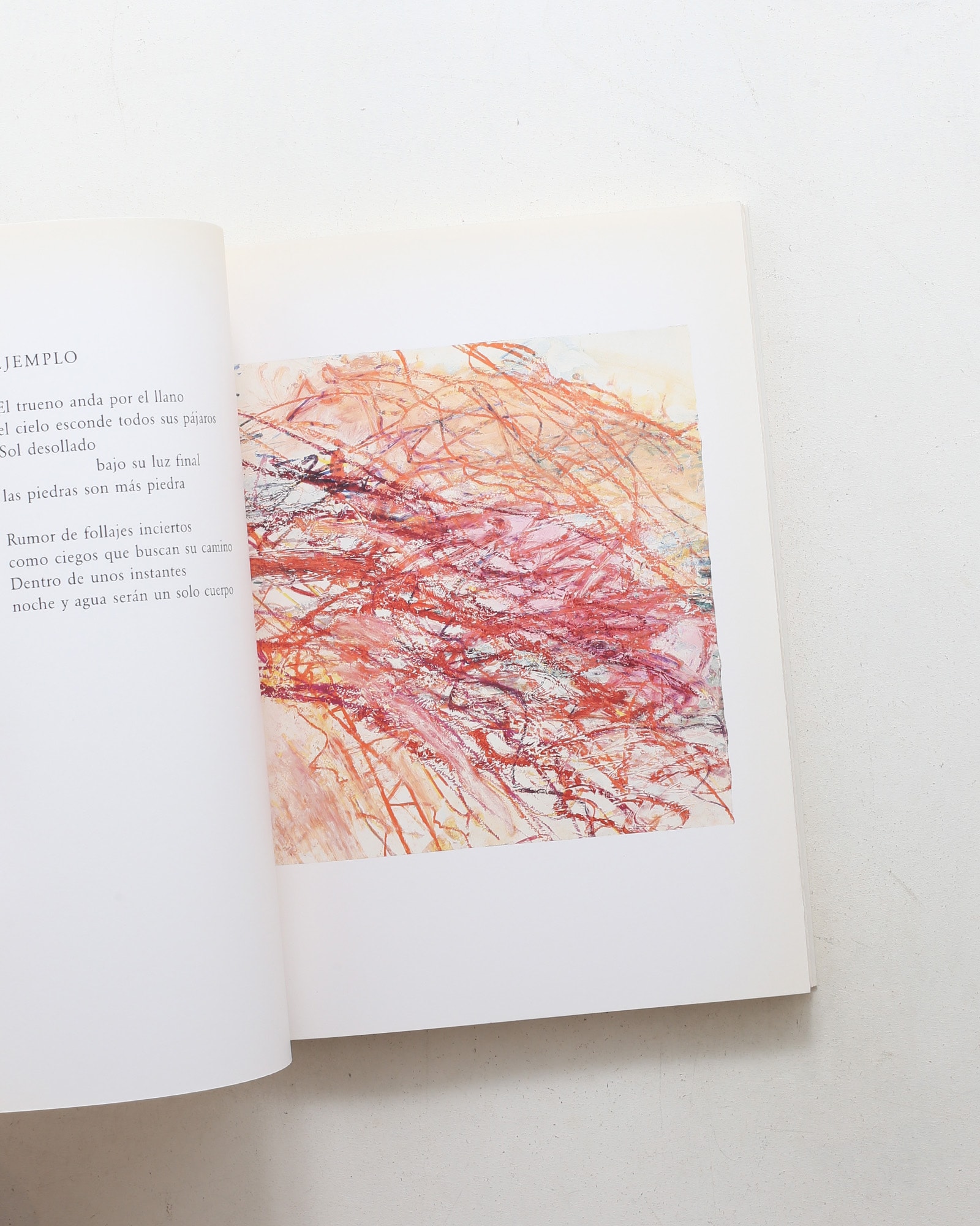 Octavio Paz: Eight Poems / Cy Twombly: Ten Drawings