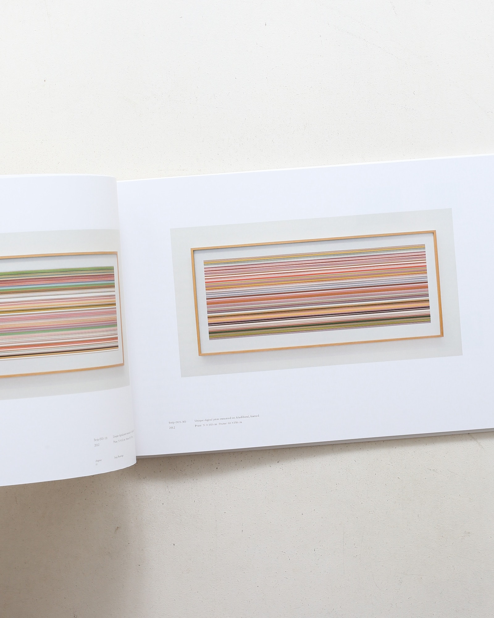 Strip Paintings and 8 Glass Panels
